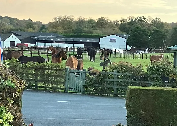 Auchenlea Lodges Glasgow